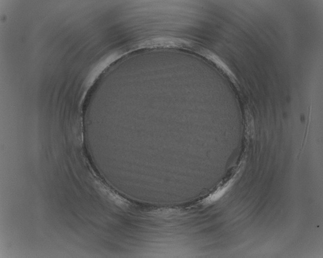 X0000077351075200611031815