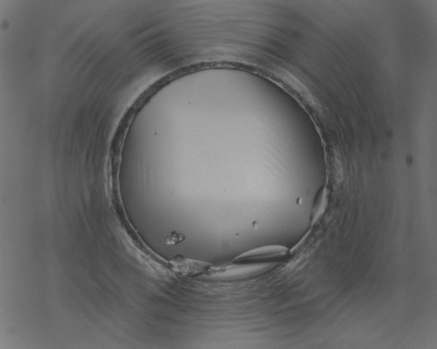 X0000077351076200611031815