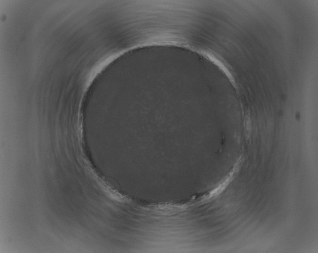 X0000077351077200611031815