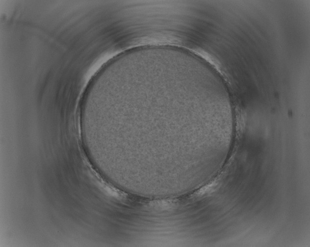 X0000077351078200611031815