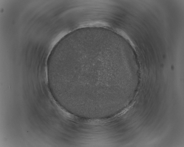 X0000077351079200611031815