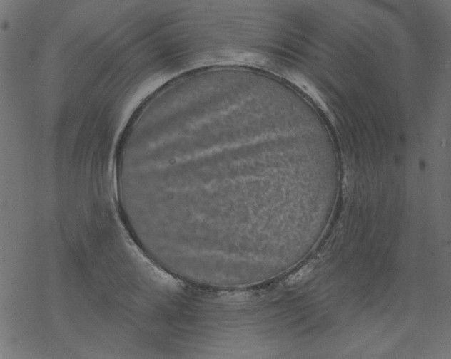 X0000077351080200611031815