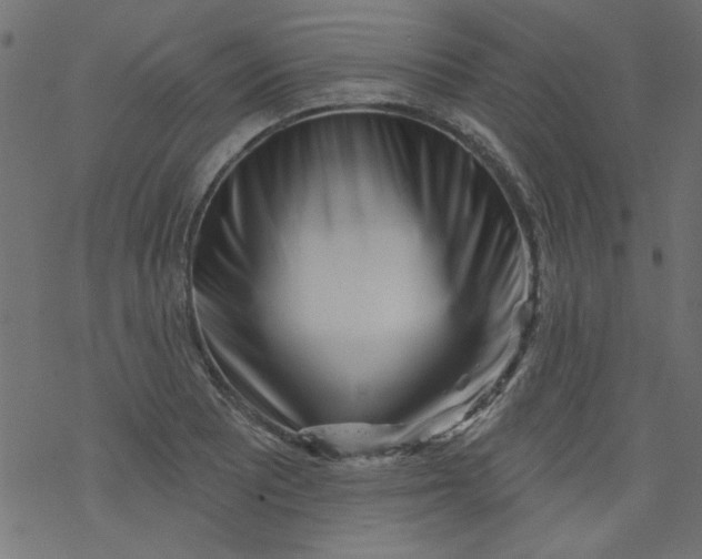 X0000077351081200611031815