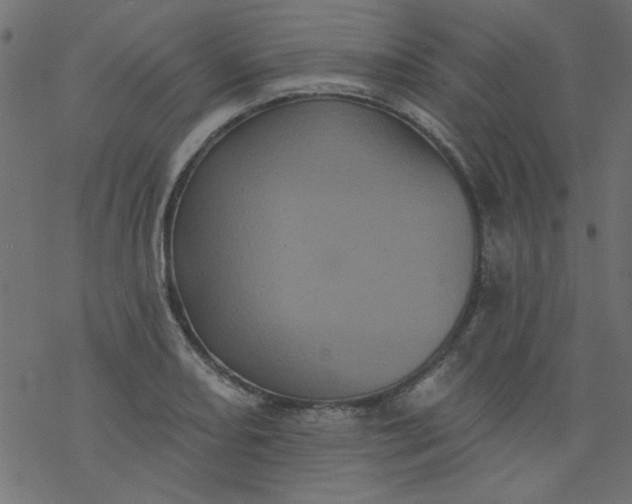 X0000077351082200611031815