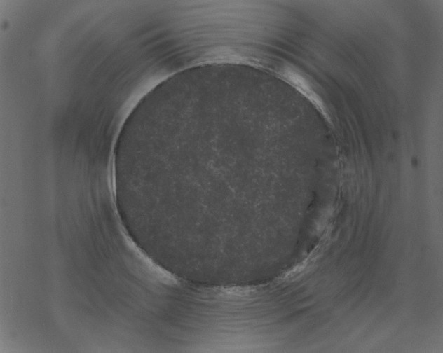 X0000077351084200611031815