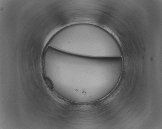 X0000077351085200611031815