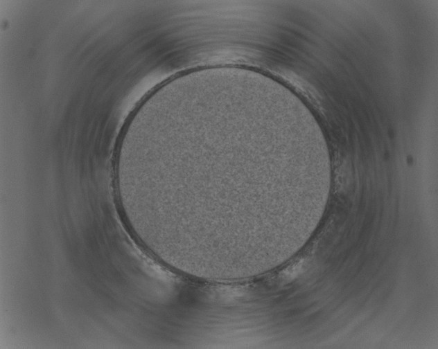 X0000077351086200611031815