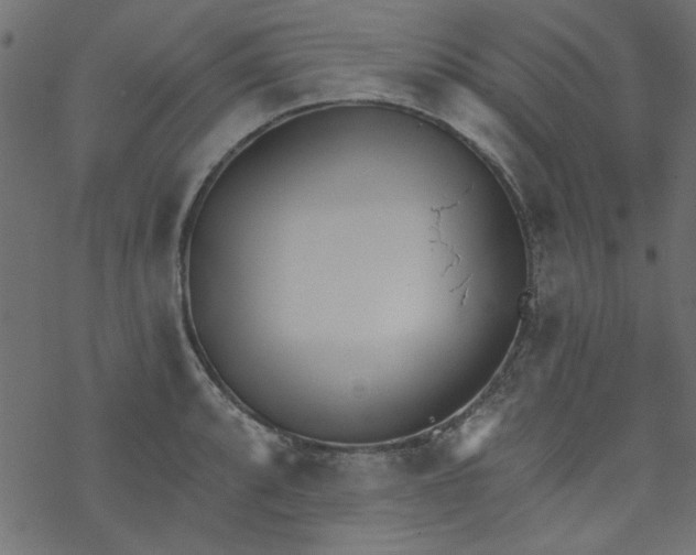 X0000077351088200611031815