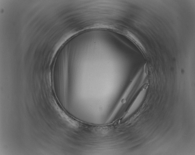 X0000077351092200611031815