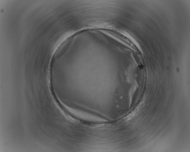 X0000077351093200611031815