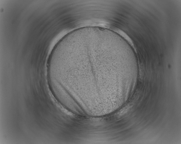 X0000077351096200611031815