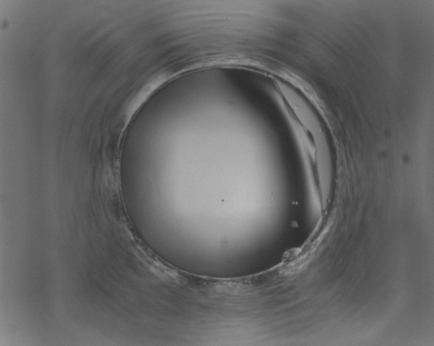 X0000077351097200611031815