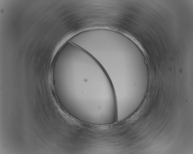 X0000077351101200611031815