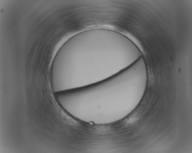 X0000077351102200611031815