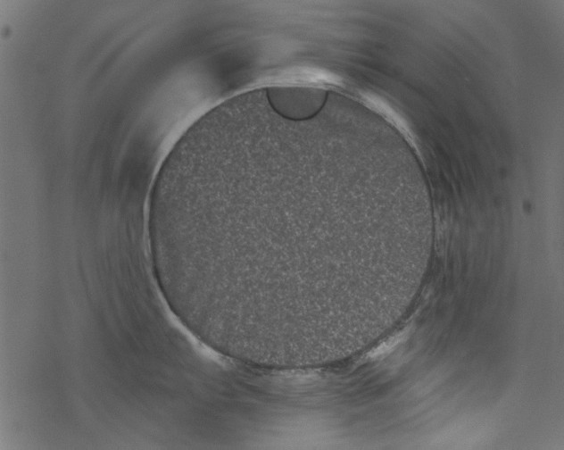 X0000077351103200611031815