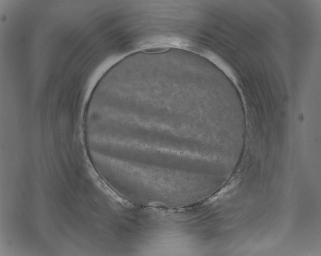 X0000077351104200611031815