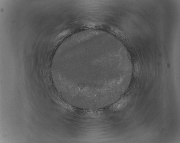 X0000077351105200611031814