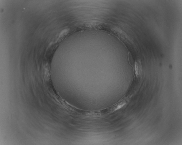 X0000077351107200611031814