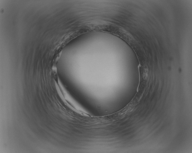 X0000077351108200611031814