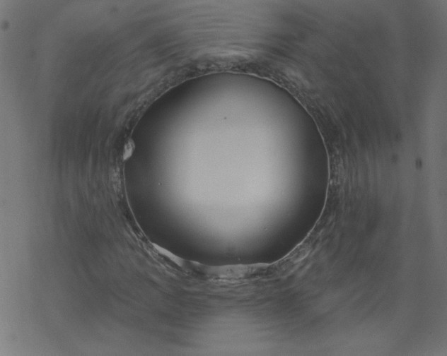 X0000077351109200611031814