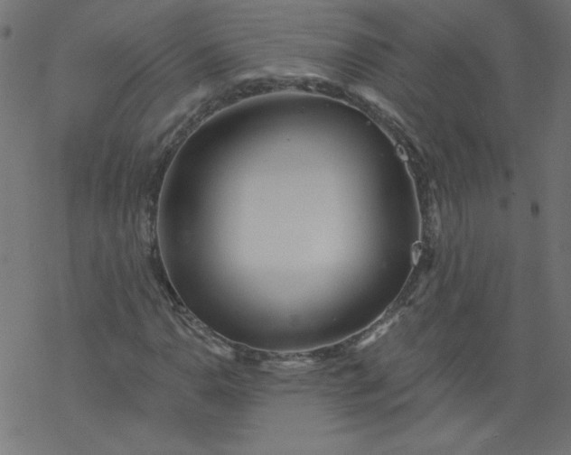 X0000077351110200611031814