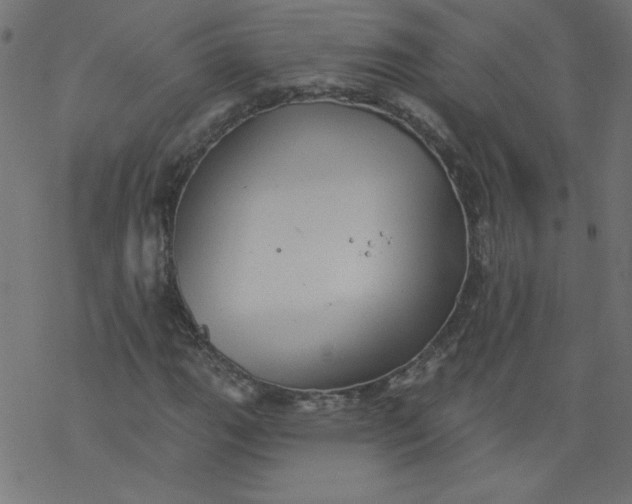 X0000077351111200611031814