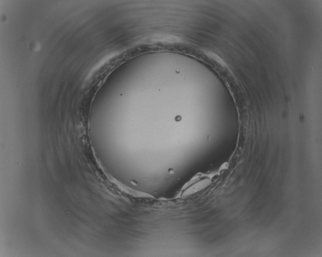 X0000077351112200611031814