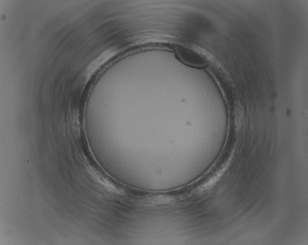 X0000077351113200611031814