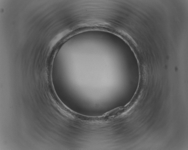 X0000077351114200611031814