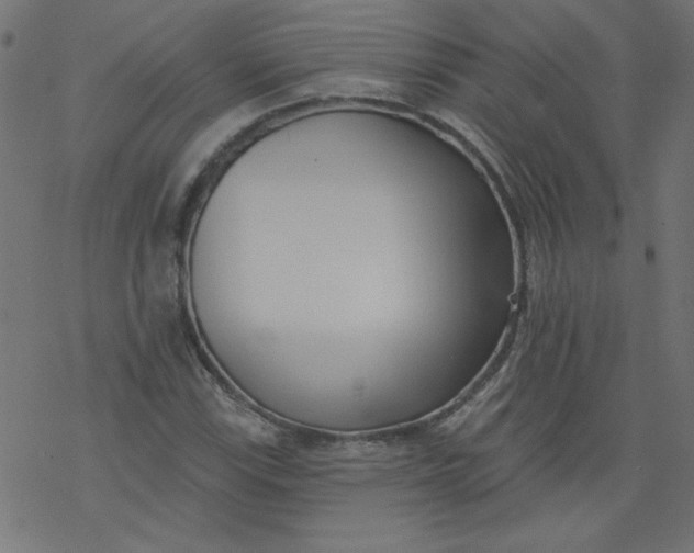 X0000077351115200611031814