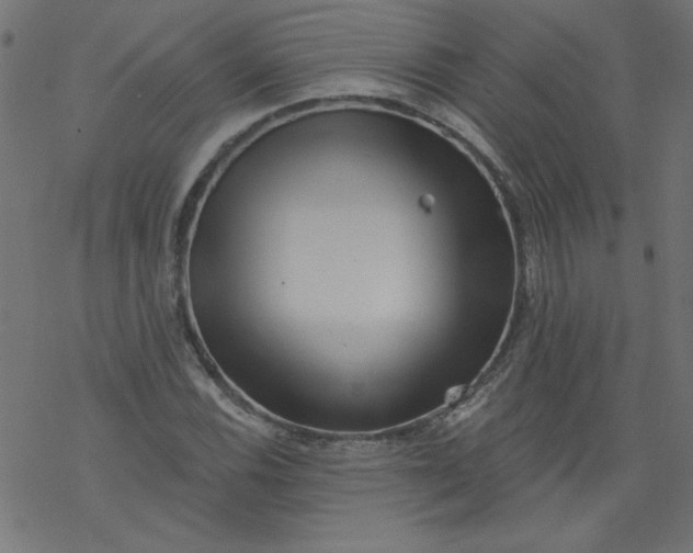 X0000077351116200611031814