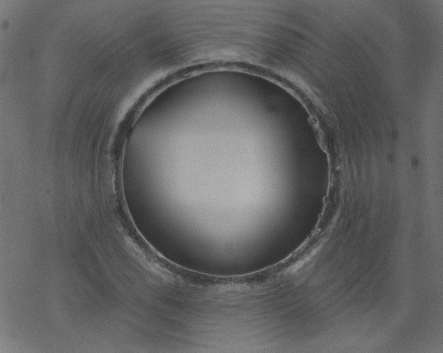 X0000077351118200611031814