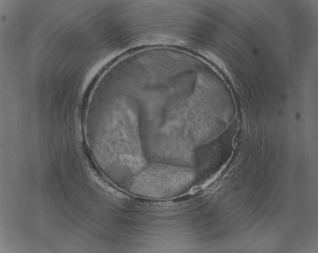 X0000077351120200611031814