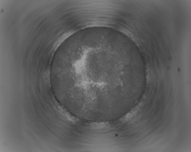 X0000077351121200611031814