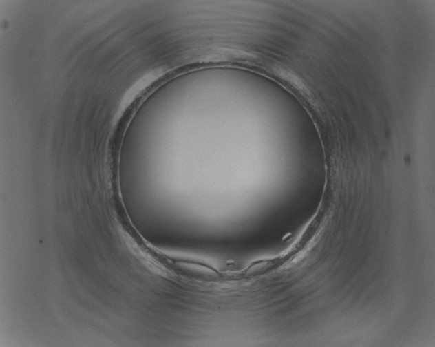 X0000077351122200611031814