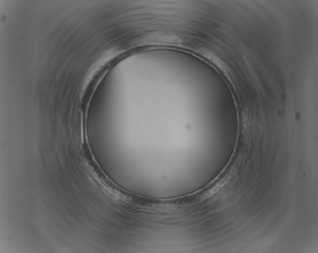 X0000077351123200611031814