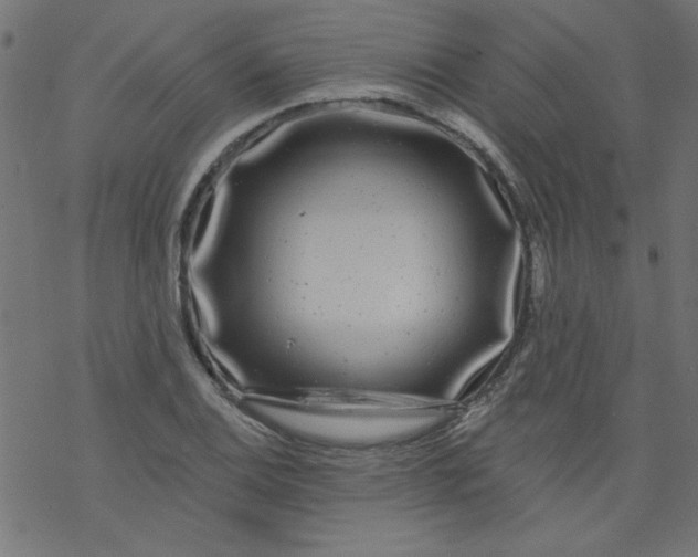 X0000077351124200611031814