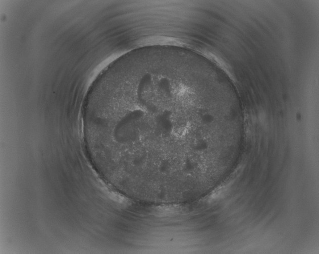 X0000077351125200611031814