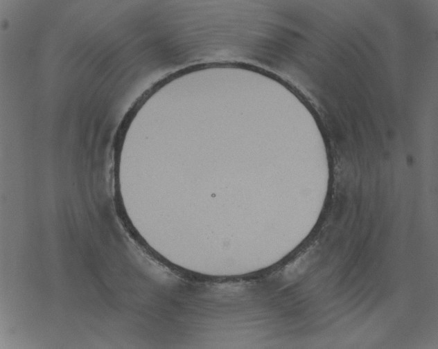 X0000077351126200611031814