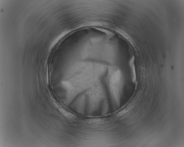 X0000077351127200611031814