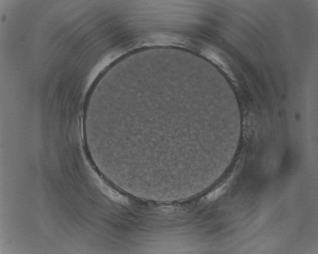 X0000077351130200611031814