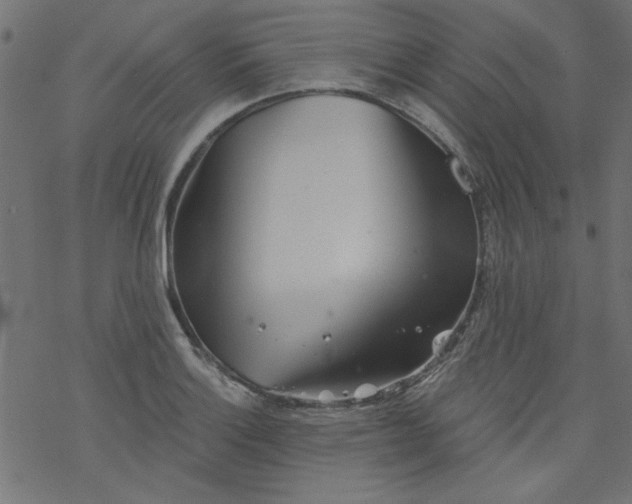 X0000077351132200611031814