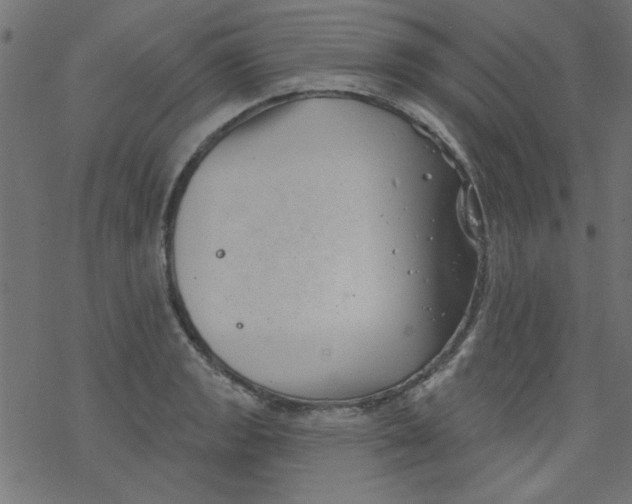 X0000077351133200611031814