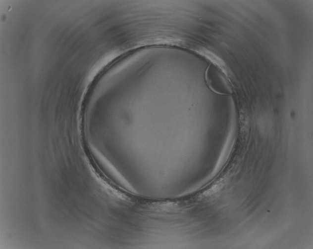 X0000077351135200611031814