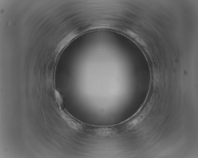 X0000077351137200611031814