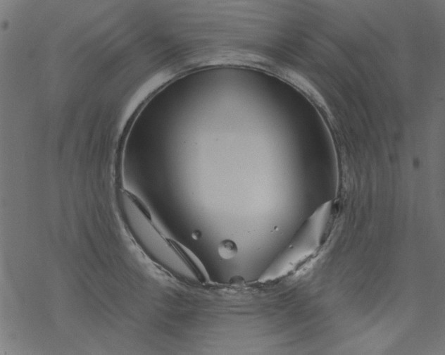 X0000077351138200611031814