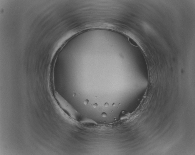 X0000077351139200611031814