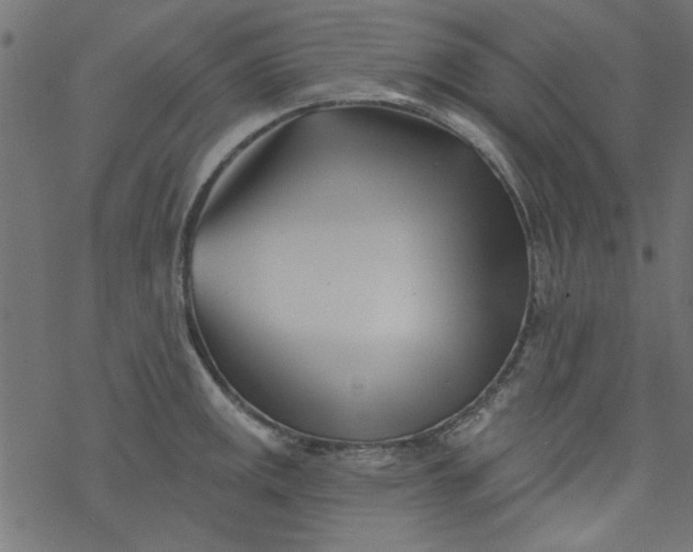 X0000077351141200611031814