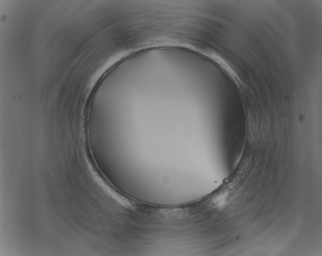 X0000077351142200611031814