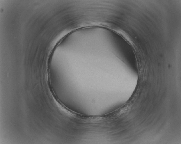 X0000077351143200611031814